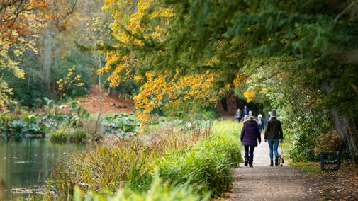 Visitors on an autumnal river walk at Wallington, Northumberland